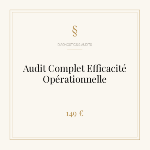 Audit Complet Efficacité Opérationnelle