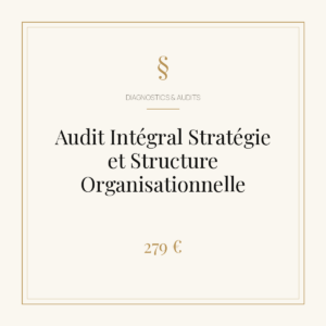 Audit Intégral Stratégie et Structure Organisationnelle